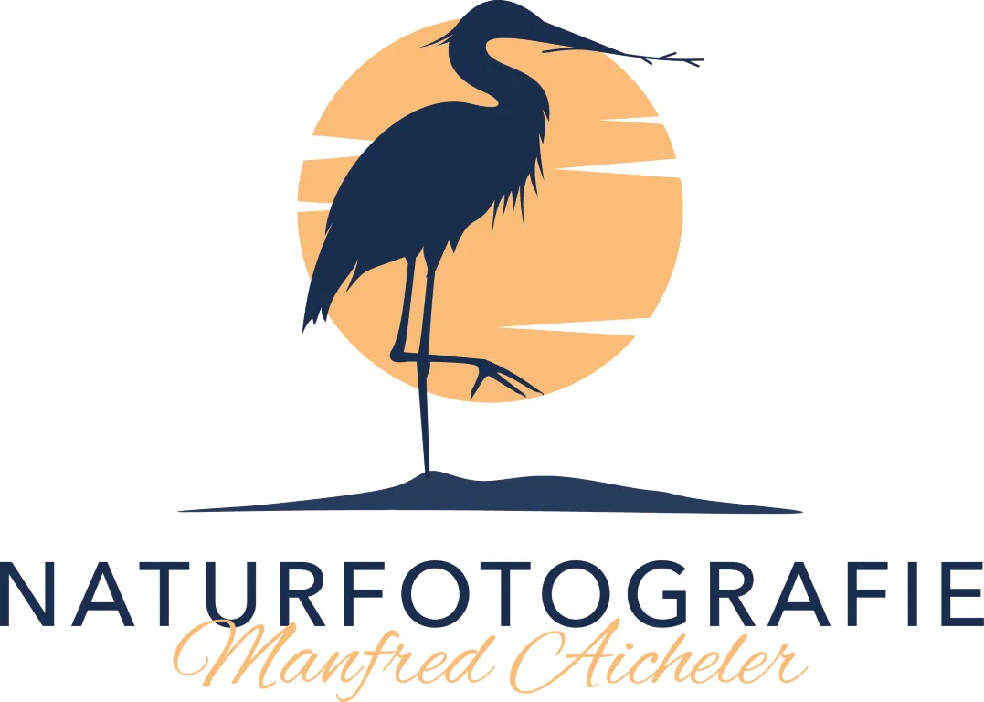 Logo - Naturfotografie - Manfred Aicheler