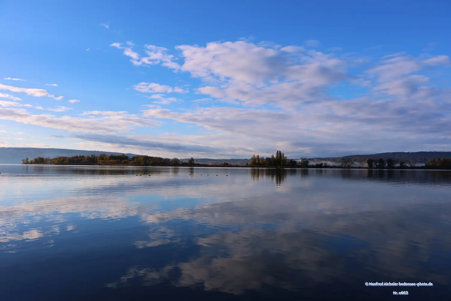 Naturfotografie - Manfred Aicheler - Bodensee - Markelfinger Winkel-Gnadensee
