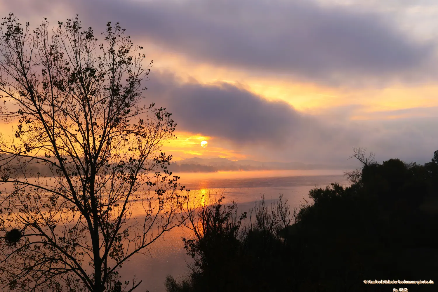 Naturfotografie - Manfred Aicheler - Bodensee - Markelfinger Winkel-Gnadensee