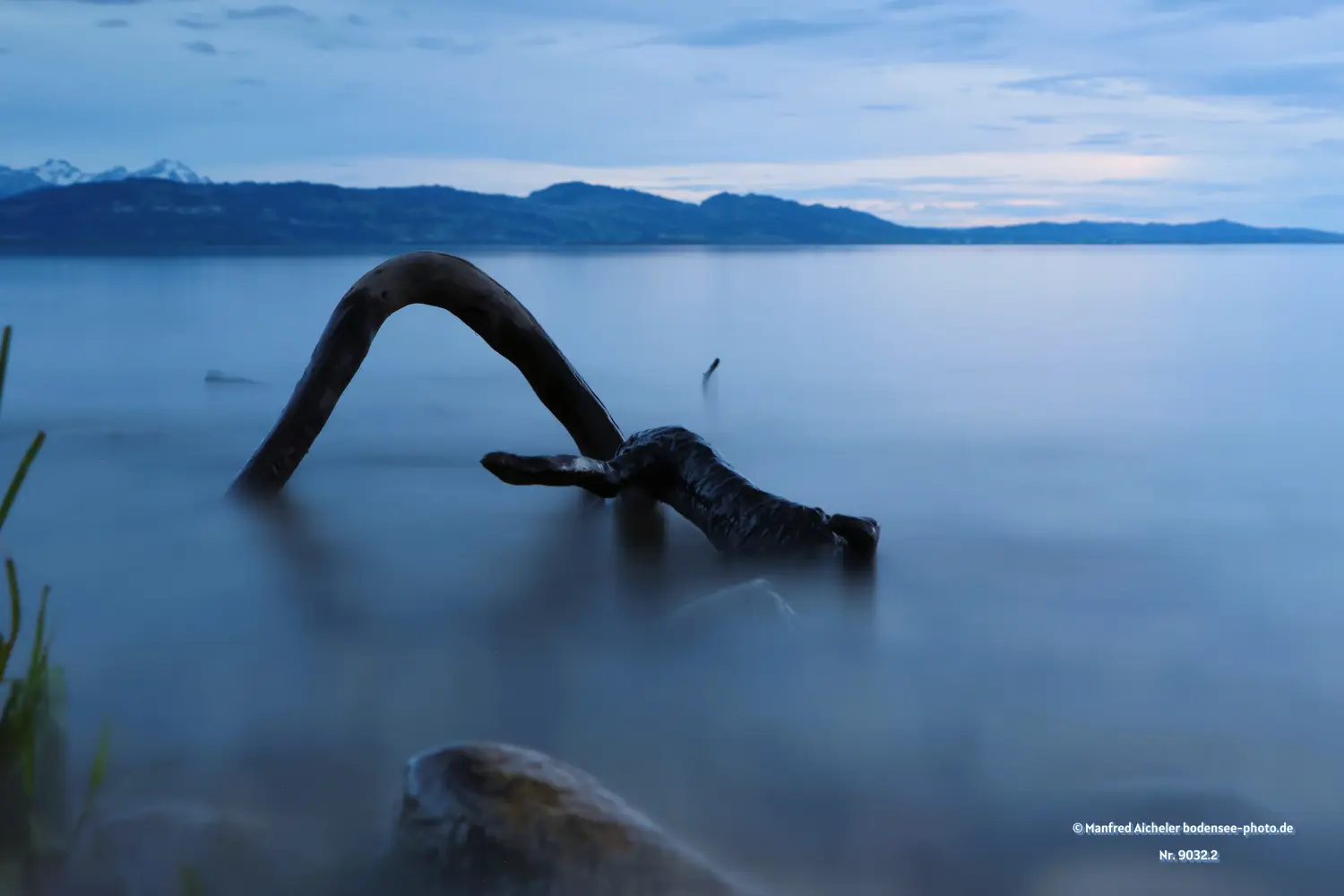 Naturfotografie - Manfred Aicheler - Bodensee -  Obersee