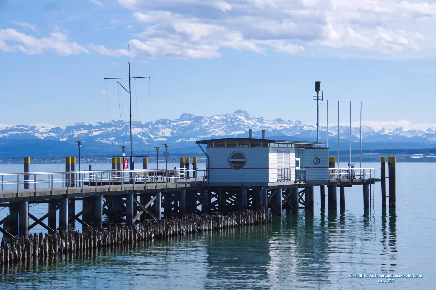 Naturfotografie - Manfred Aicheler - Bodensee -  Obersee