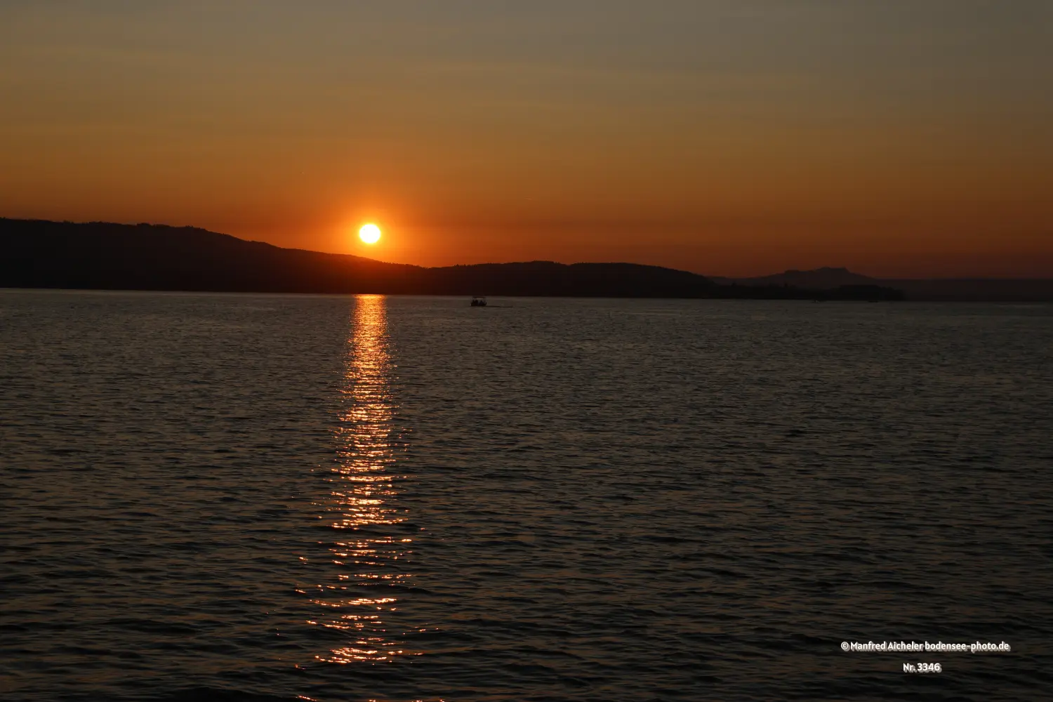 Naturfotografie - Manfred Aicheler - Bodensee -  Rheinsee-Seerhein