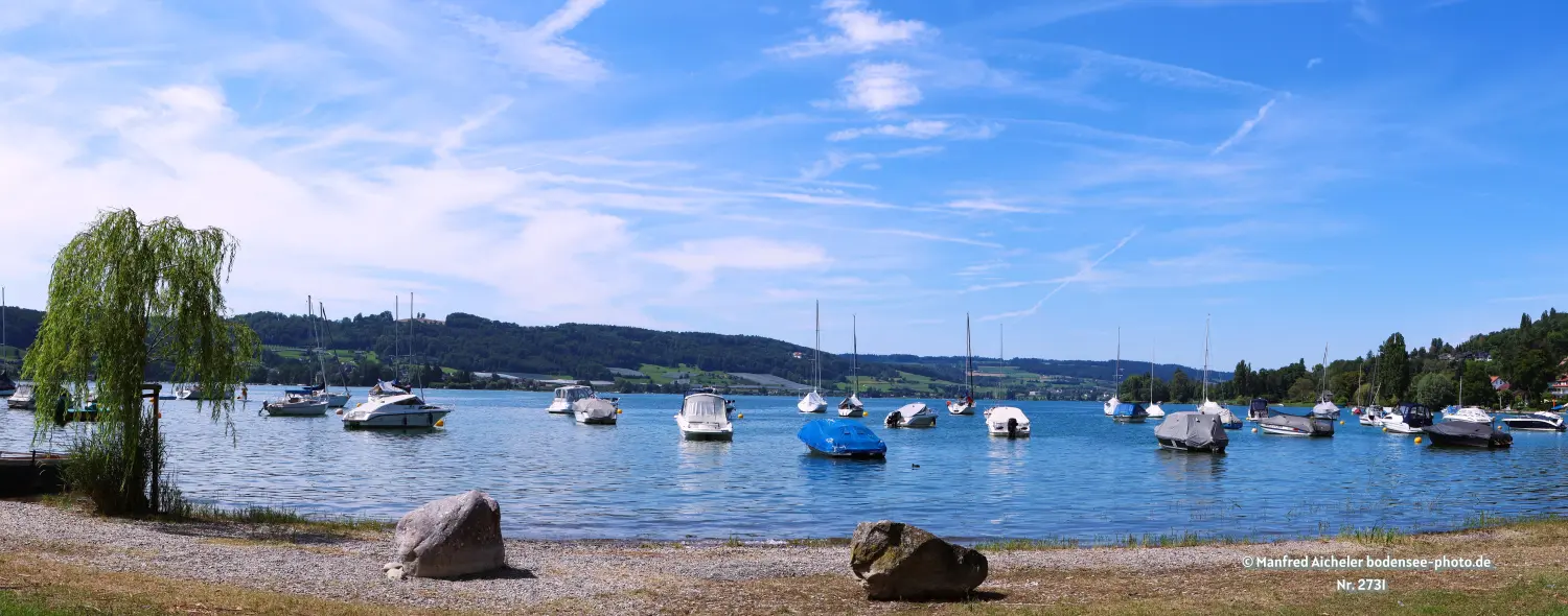 Naturfotografie - Manfred Aicheler - Bodensee -  Rheinsee-Seerhein