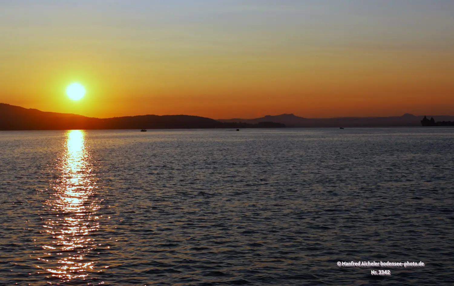 Naturfotografie - Manfred Aicheler - Bodensee -  Rheinsee-Seerhein