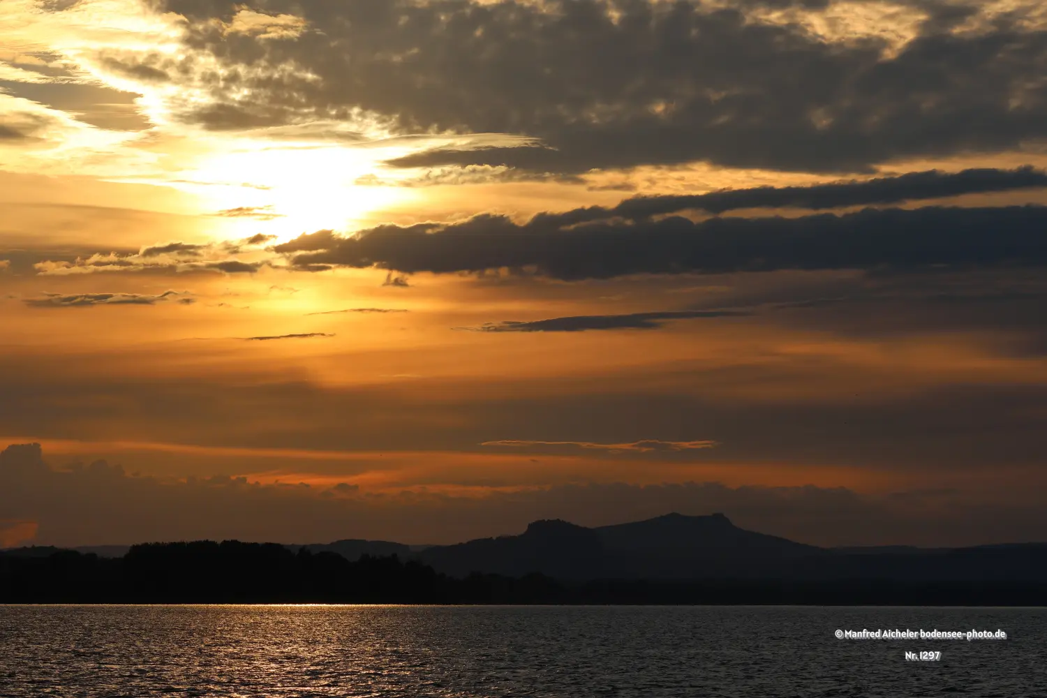 Naturfotografie - Manfred Aicheler - Bodensee -  Rheinsee-Seerhein