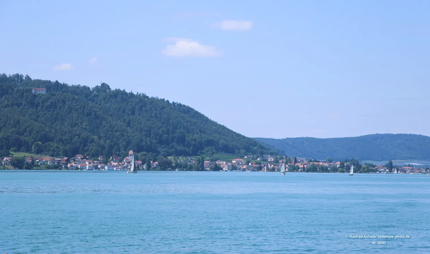 Naturfotografie - Manfred Aicheler - Bodensee -  Überlingersee