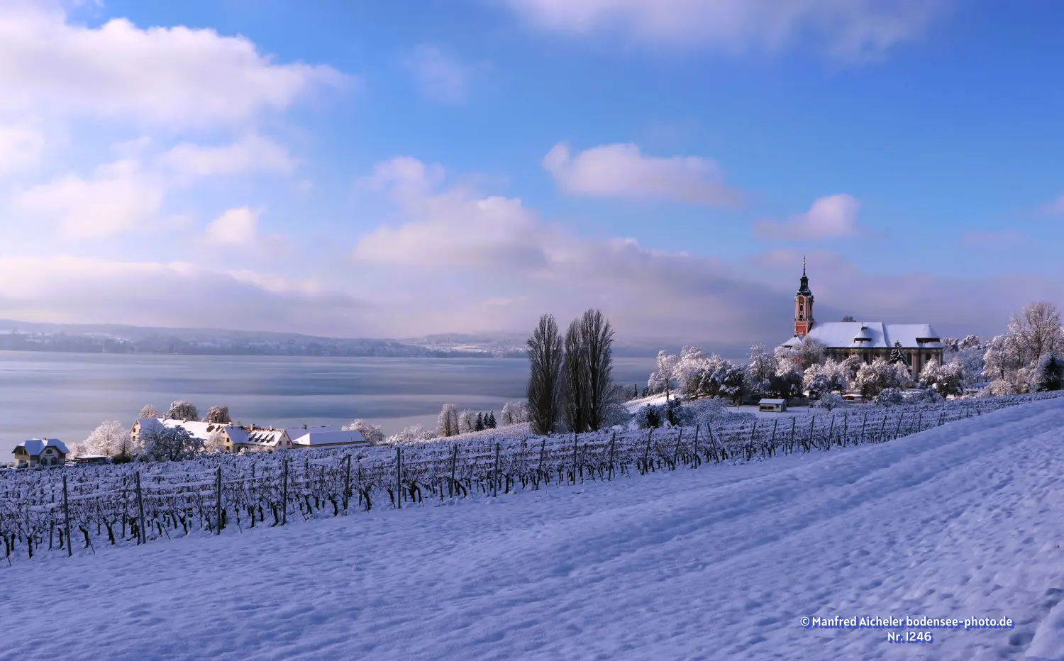 Naturfotografie - Manfred Aicheler - Bodensee -  Überlingersee