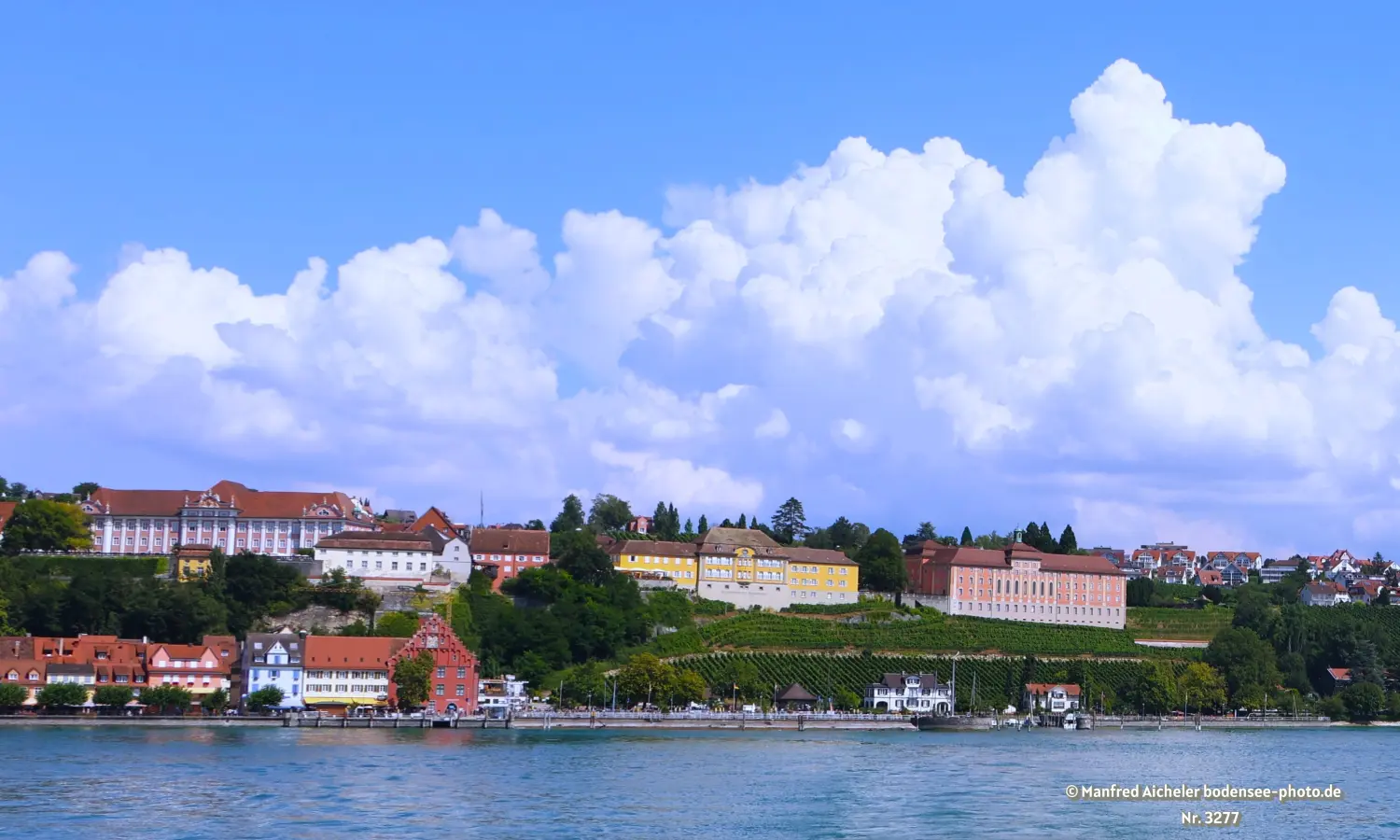 Naturfotografie - Manfred Aicheler - Bodensee -  Überlingersee
