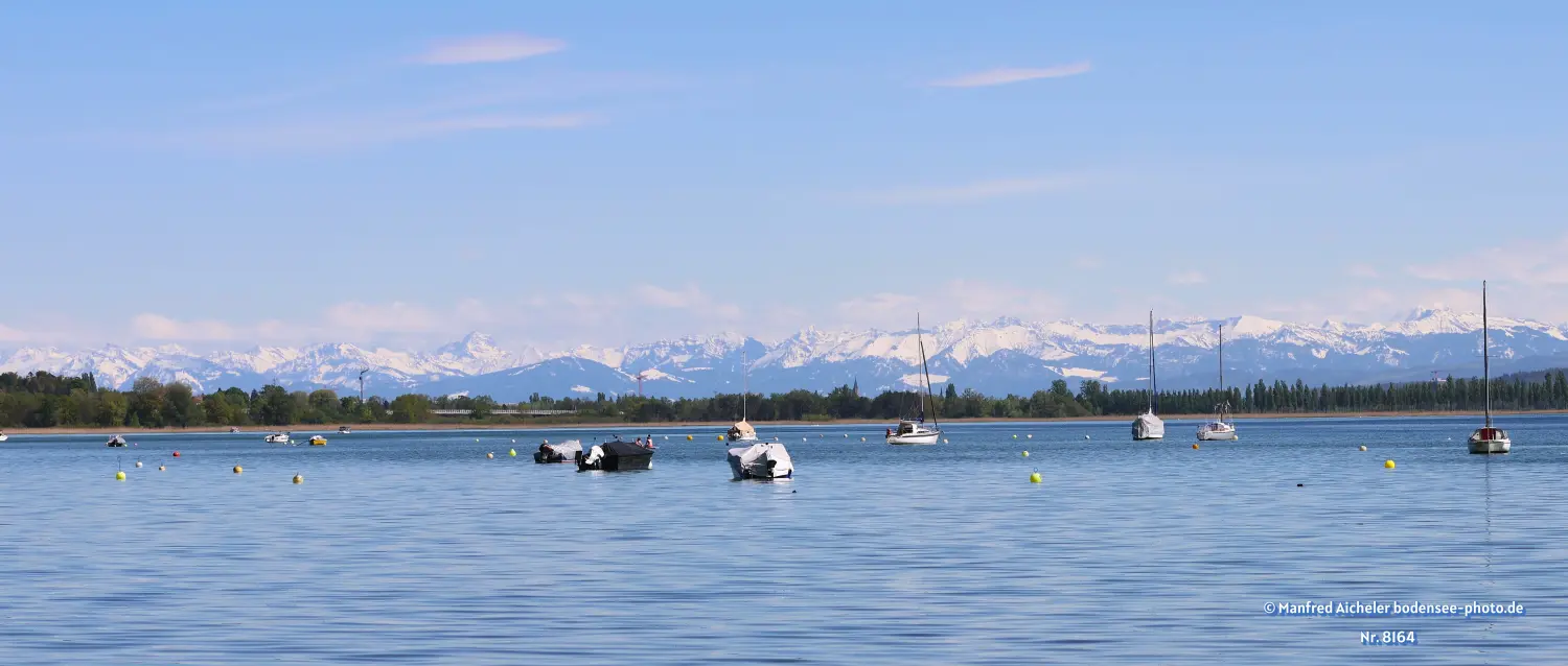 Naturfotografie - Manfred Aicheler - Bodensee -  Überlingersee