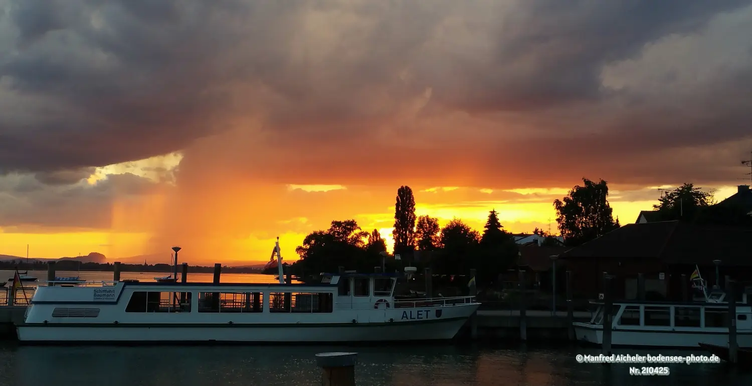 Naturfotografie - Manfred Aicheler - Bodensee -  Überlingersee
