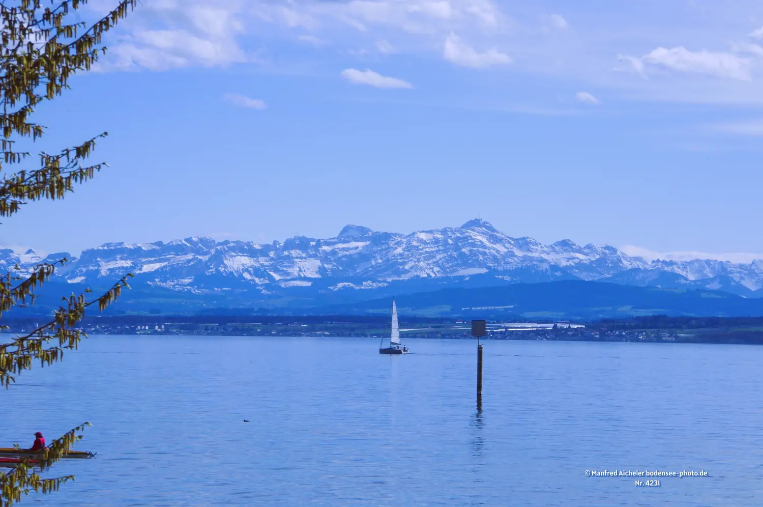 Naturfotografie - Manfred Aicheler - Bodensee -  Überlingersee