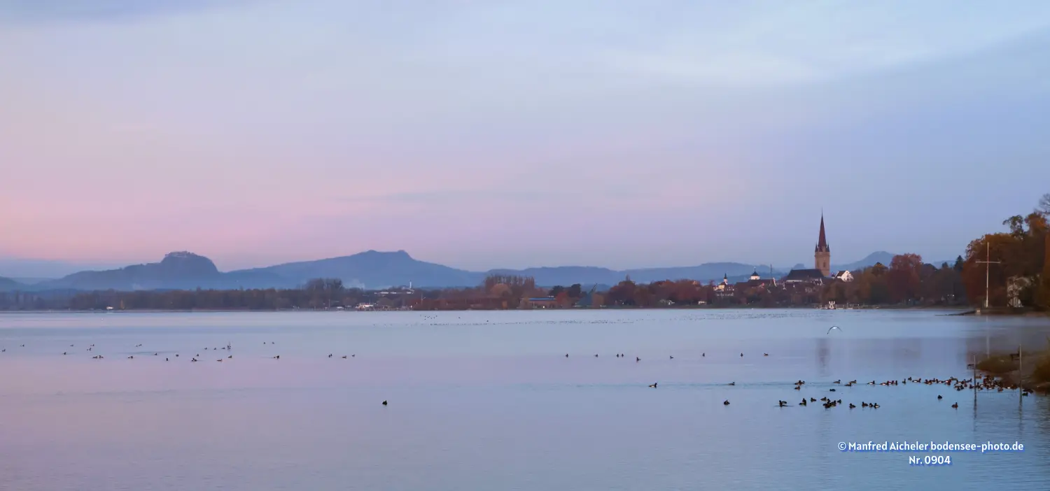 Naturfotografie - Manfred Aicheler - Bodensee - Untersee