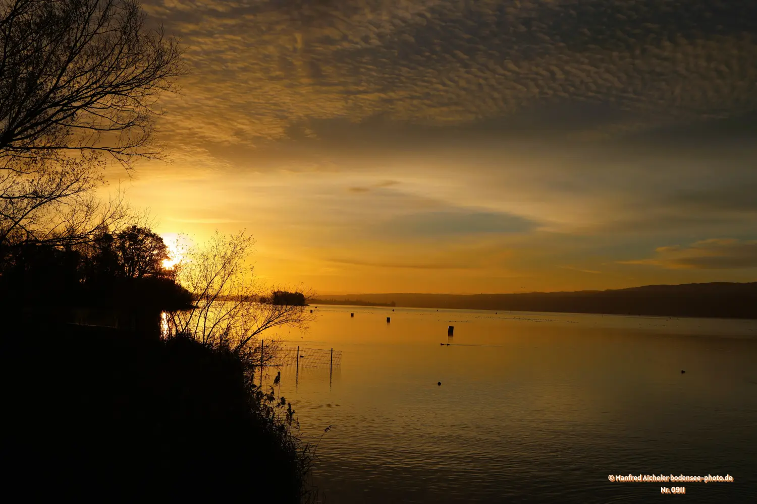 Naturfotografie - Manfred Aicheler - Bodensee -   Untersee