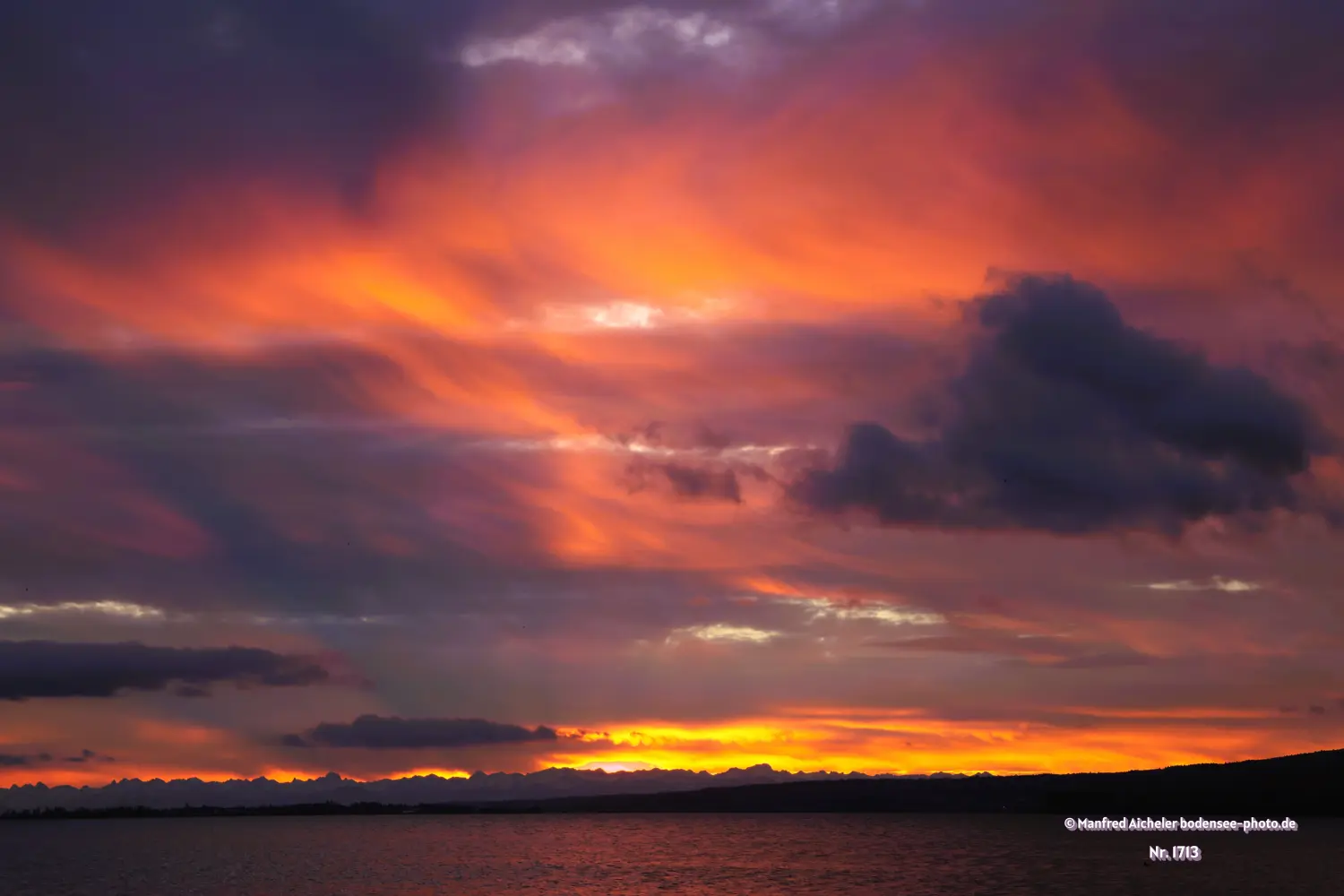 Naturfotografie - Manfred Aicheler - Bodensee -   Untersee