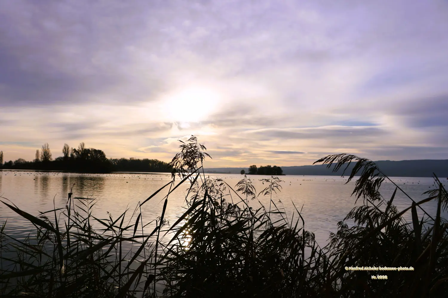 Naturfotografie - Manfred Aicheler - Bodensee -   Untersee