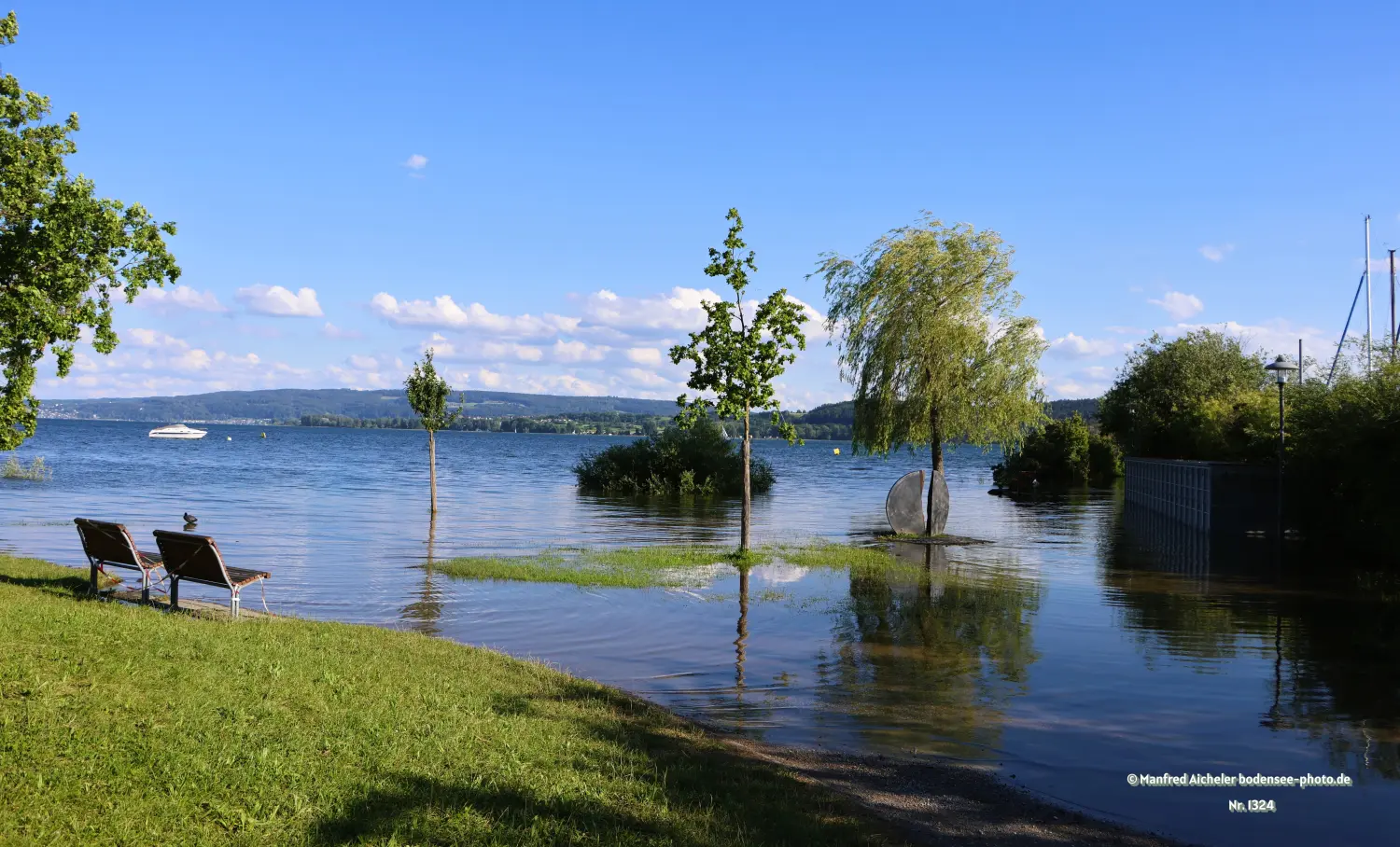 Naturfotografie - Manfred Aicheler - Bodensee -   Untersee