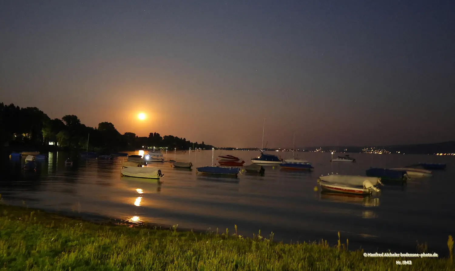 Naturfotografie - Manfred Aicheler - Bodensee -   Untersee