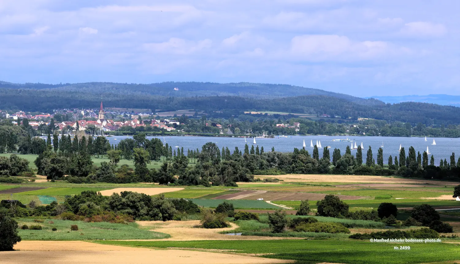 Naturfotografie - Manfred Aicheler - Bodensee -   Untersee