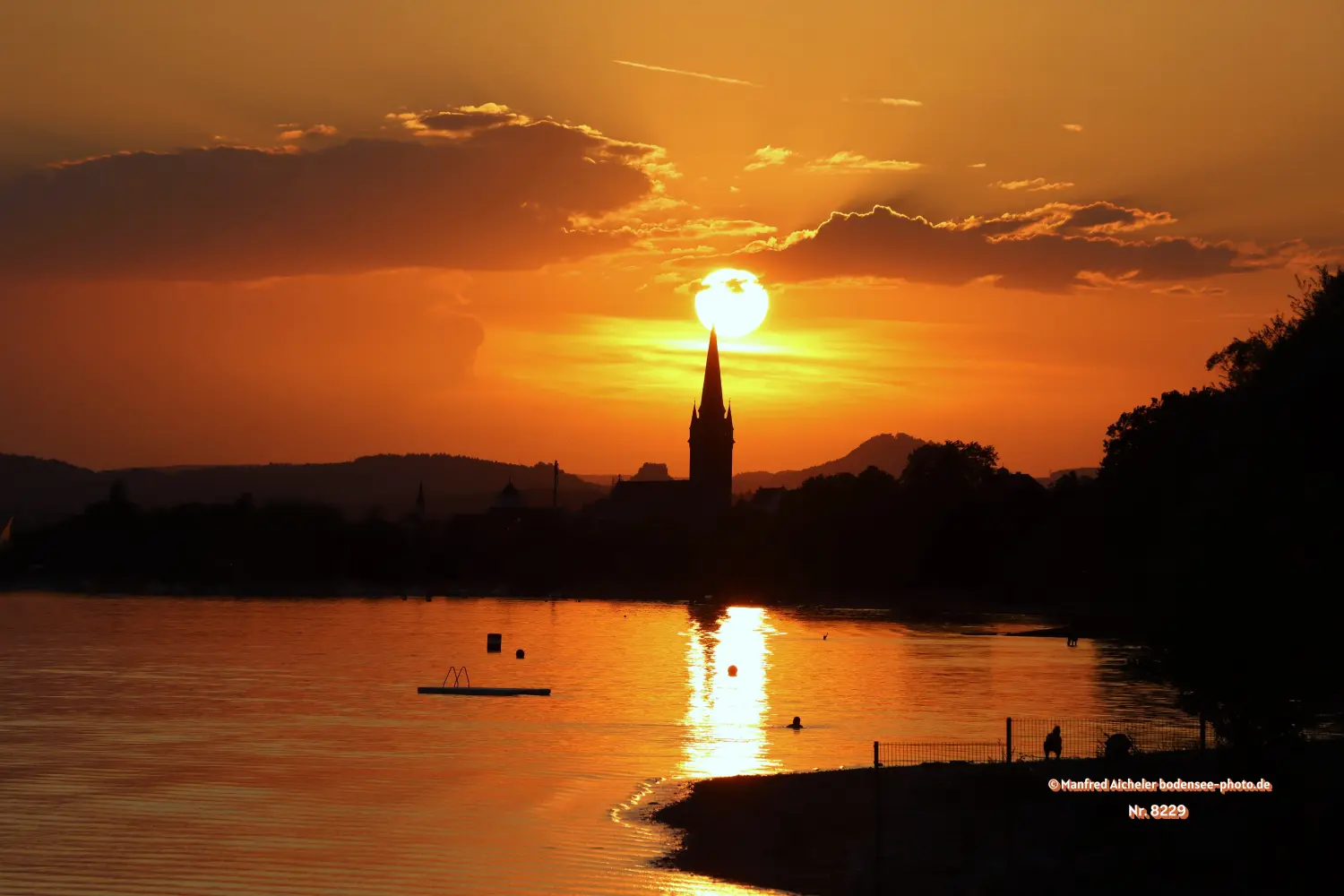 Naturfotografie - Manfred Aicheler - Bodensee -   Untersee