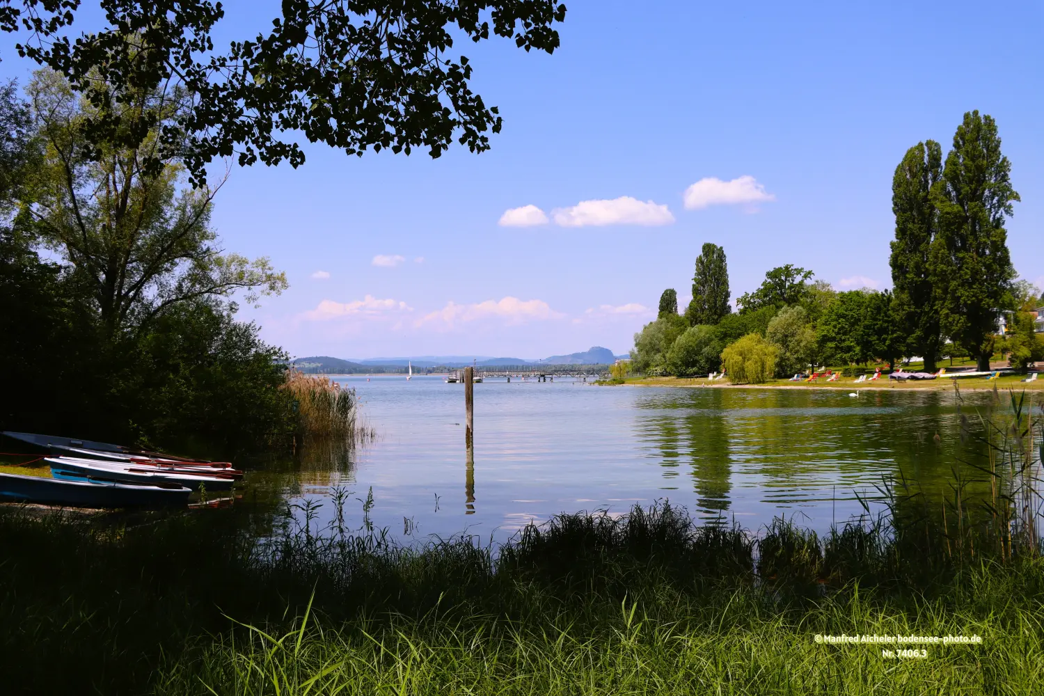Naturfotografie - Manfred Aicheler - Bodensee -   Untersee
