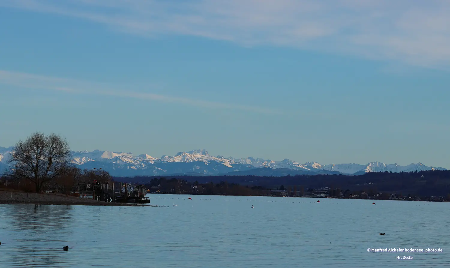 Naturfotografie - Manfred Aicheler - Bodensee -   Untersee