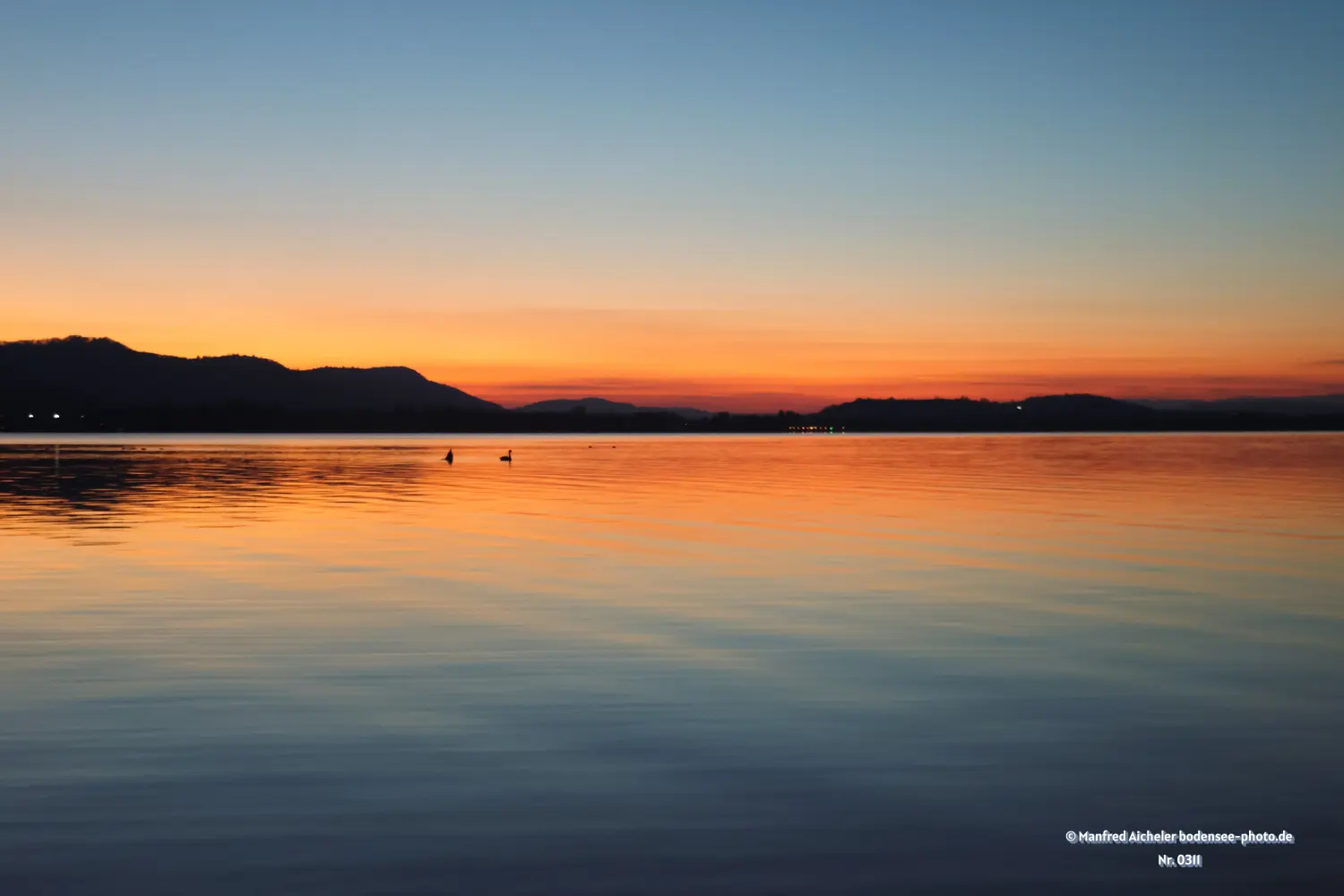 Naturfotografie - Manfred Aicheler - Bodensee -   Untersee