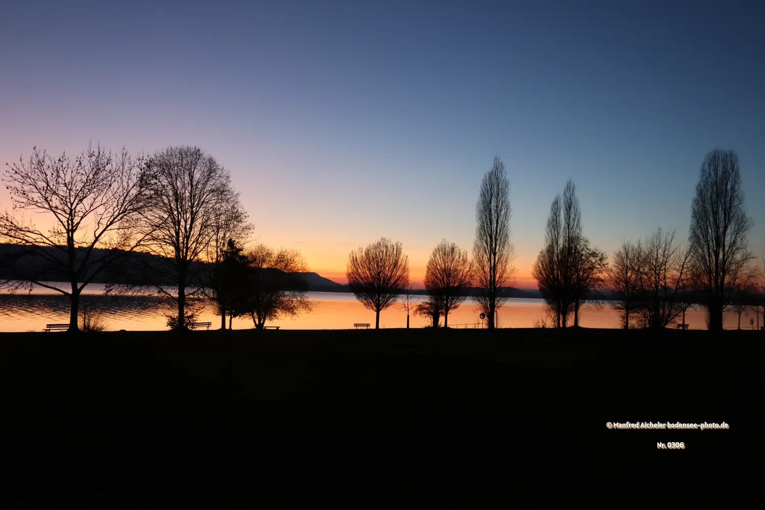 Naturfotografie - Manfred Aicheler - Bodensee -   Untersee