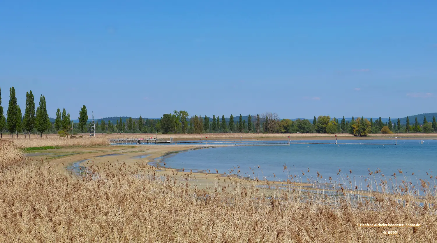 Naturfotografie - Manfred Aicheler - Bodensee -   Untersee