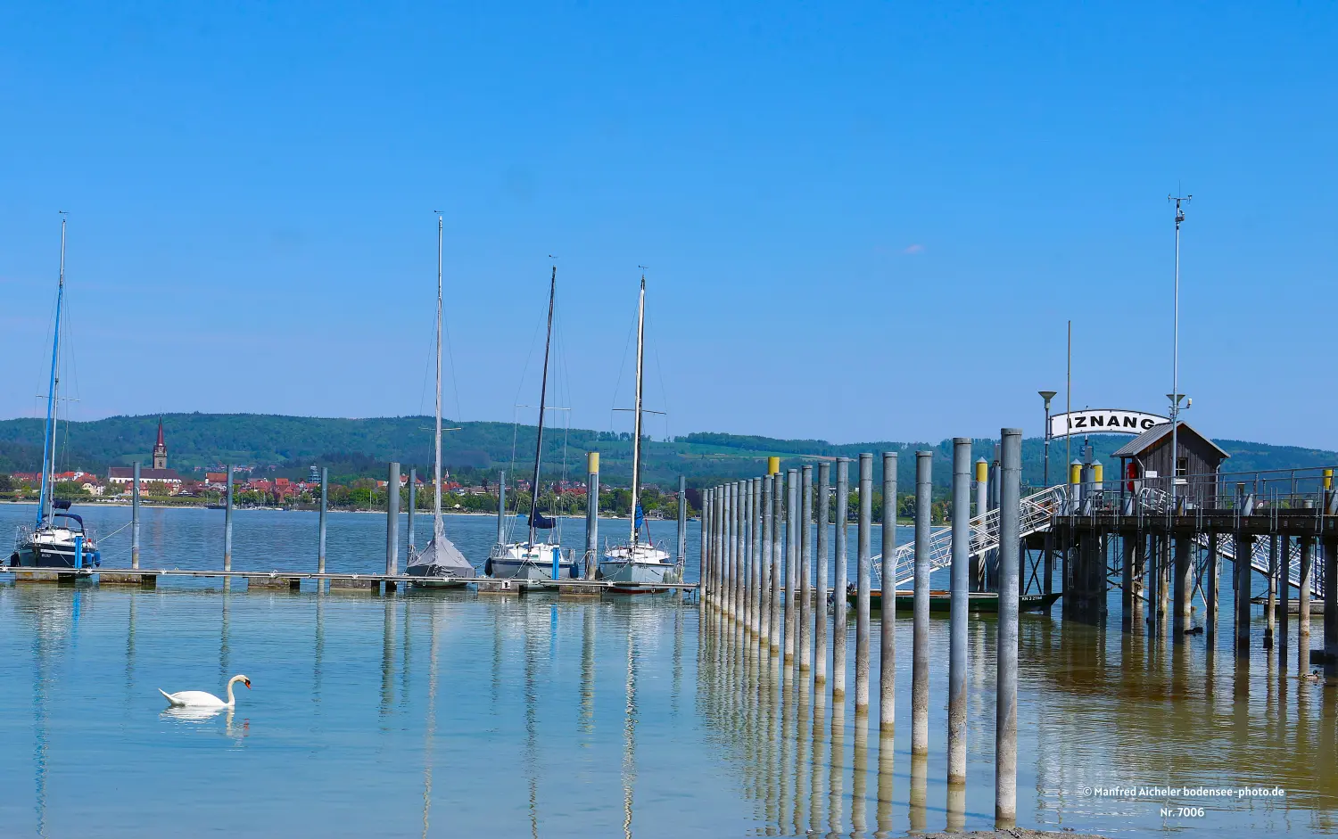 Naturfotografie - Manfred Aicheler - Bodensee -   Untersee