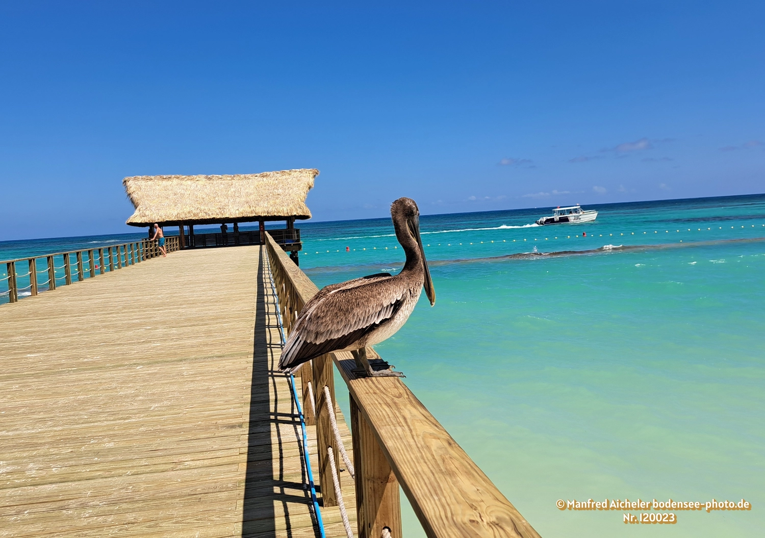 Naturfotografie - Manfred Aicheler -  Wasser- und Feuchtgebiete - Höhepunkte der Vögel