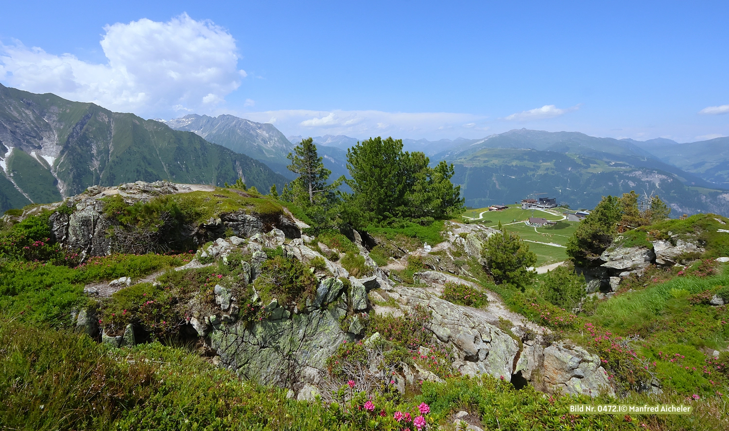 Naturfotografie - Manfred Aicheler - Bei Berg und See – Naturwelten