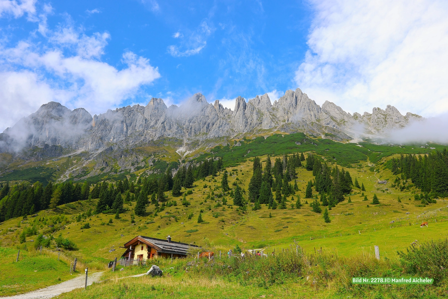 Naturfotografie - Manfred Aicheler - Bei Berg und See – Naturwelten
