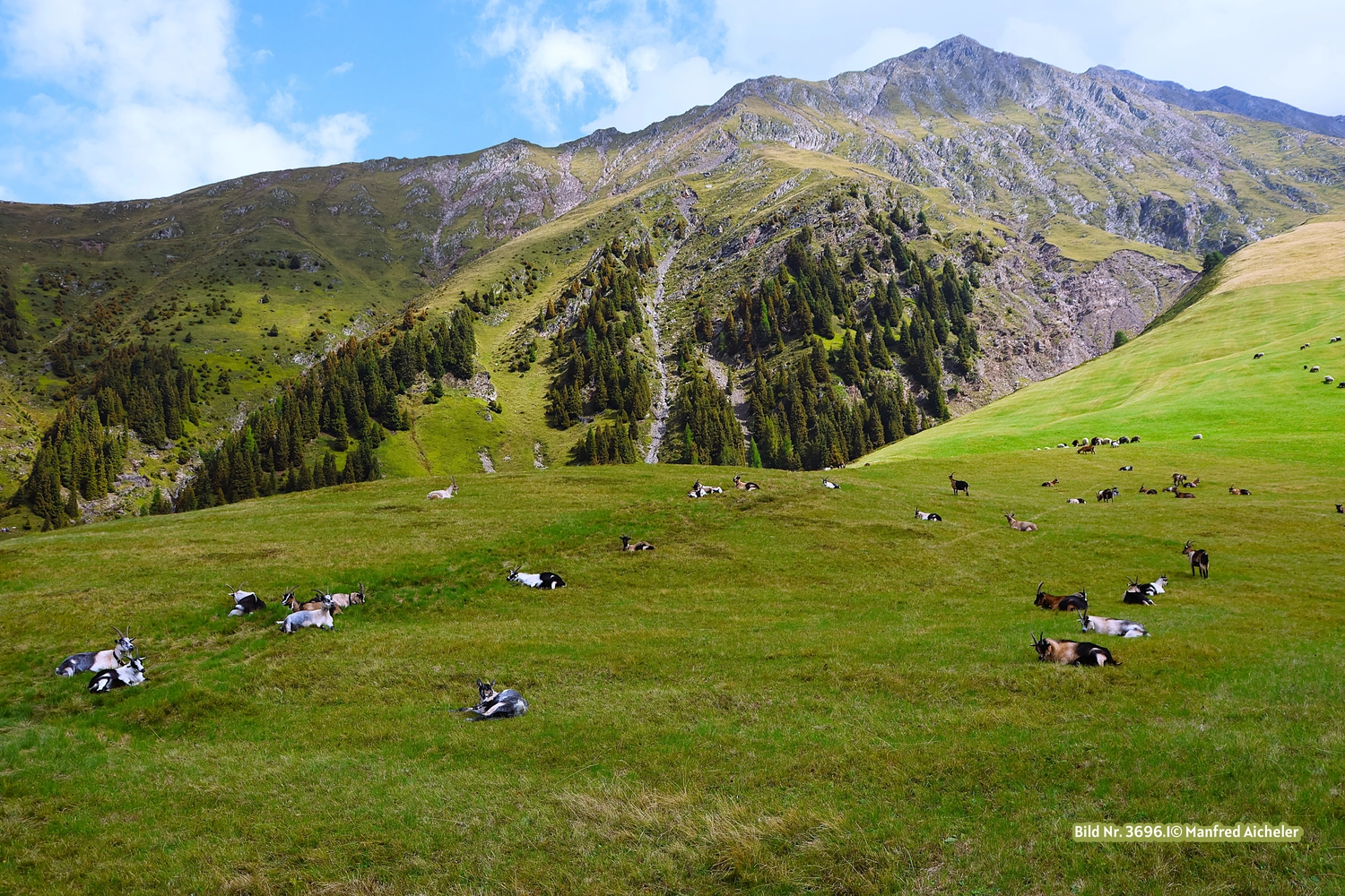 Naturfotografie - Manfred Aicheler - Bei Berg und See – Naturwelten