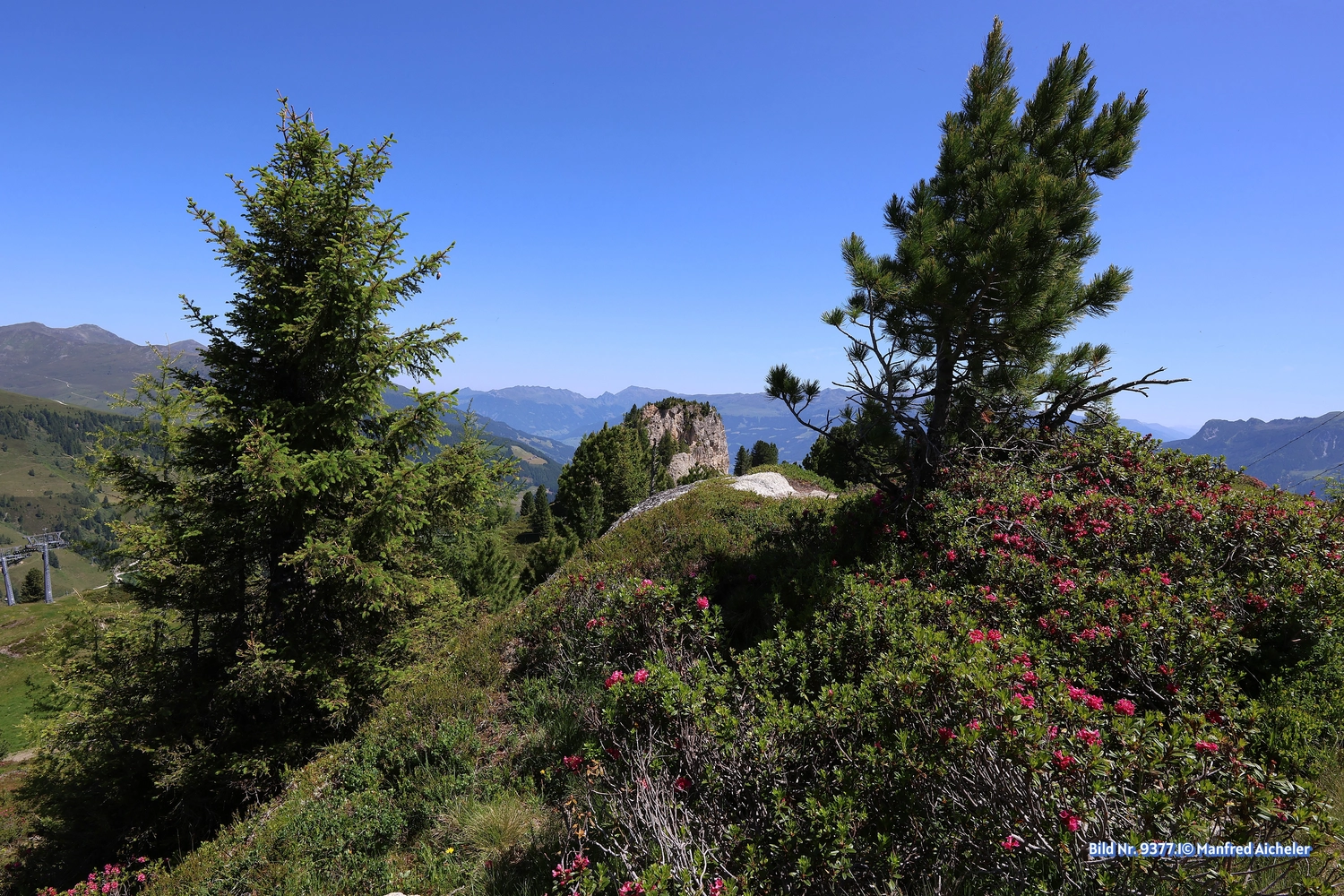 Naturfotografie - Manfred Aicheler - Bei Berg und See – Naturwelten