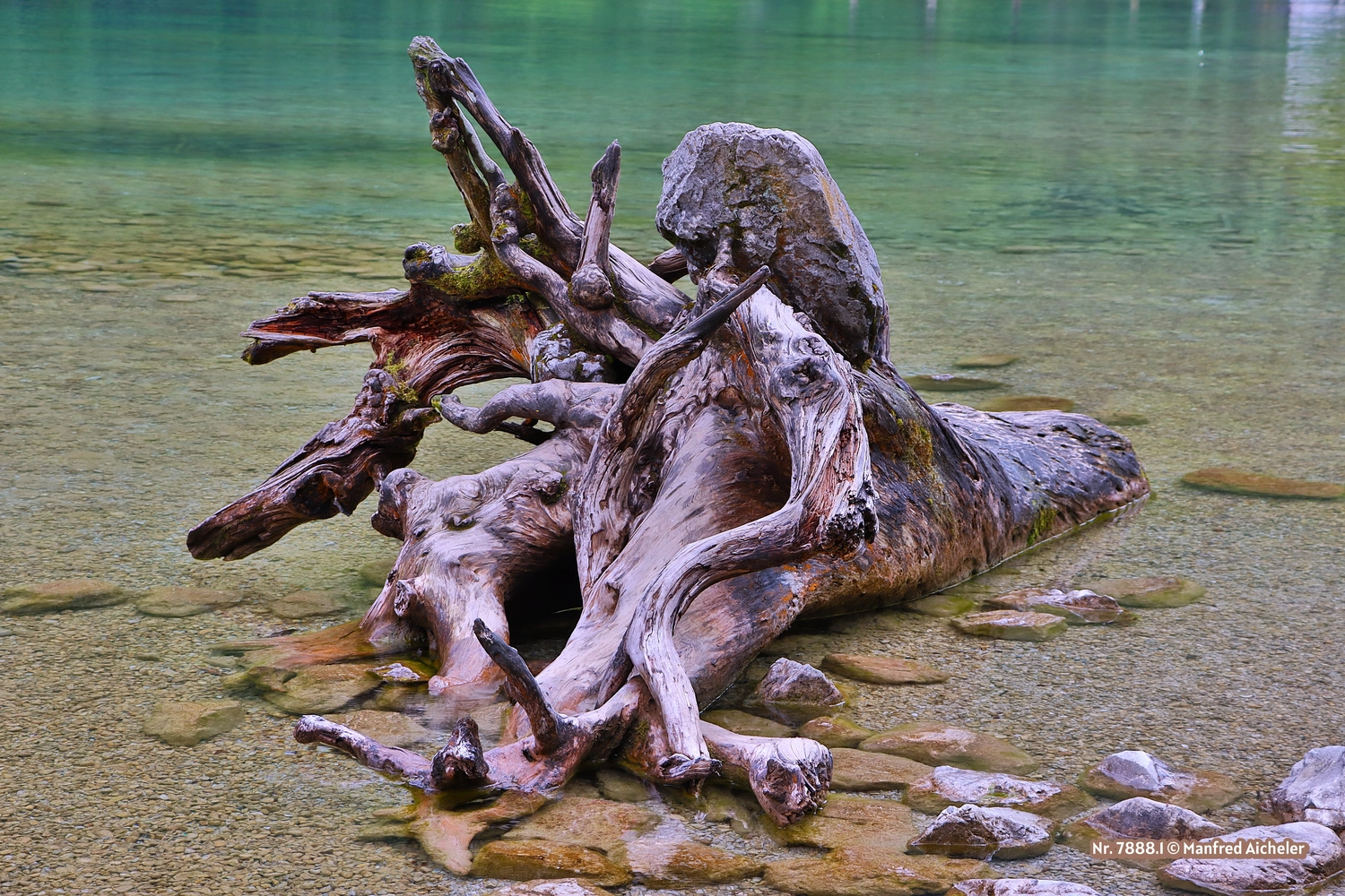 Naturfotografie - Manfred Aicheler - Bei Berg und See – Naturwelten
