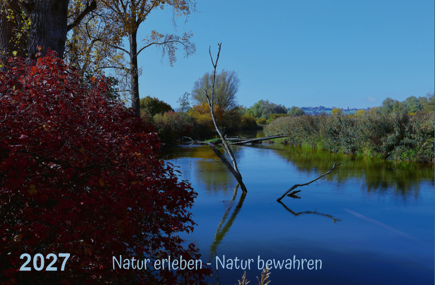 Naturfotografie - Manfred Aicheler - Natur am Bodensee